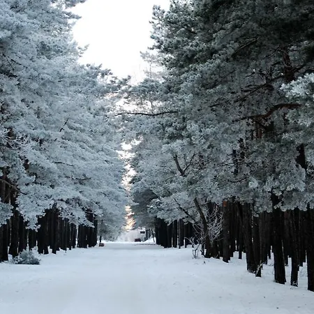 Bella Svečių namai Palanga