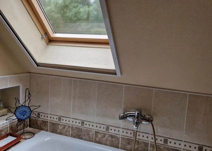 Bella 3* Паланга