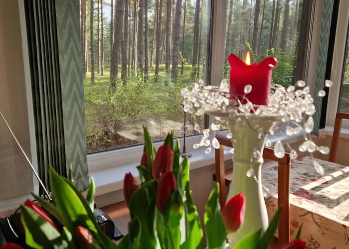 Bella Паланга