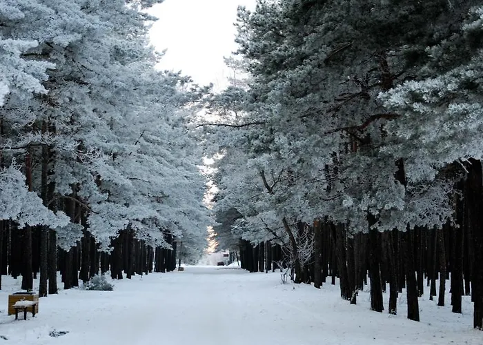 Bella Гостевой дом Паланга