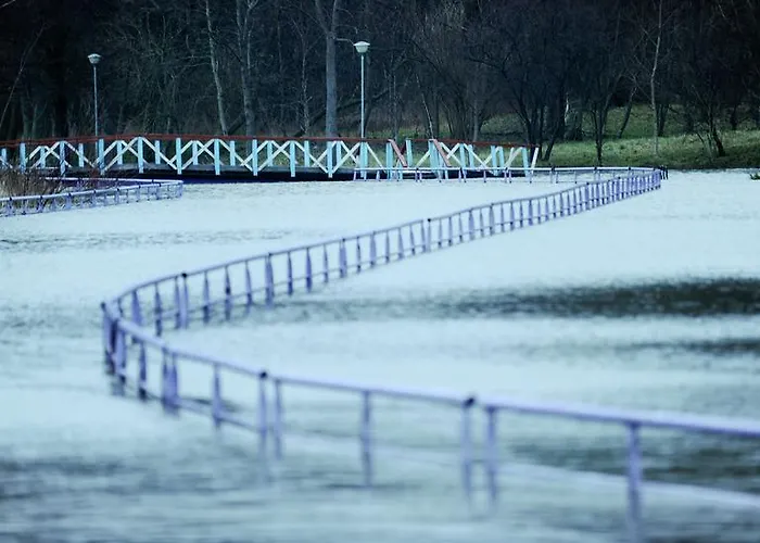 Гостевой дом Bella Паланга