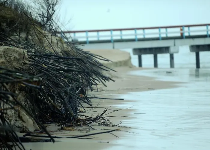 Bella Паланга